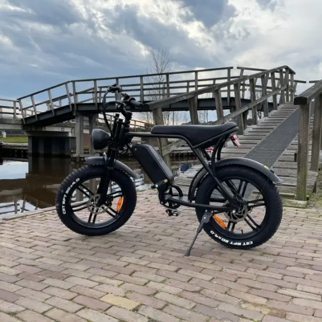 Fat Bike